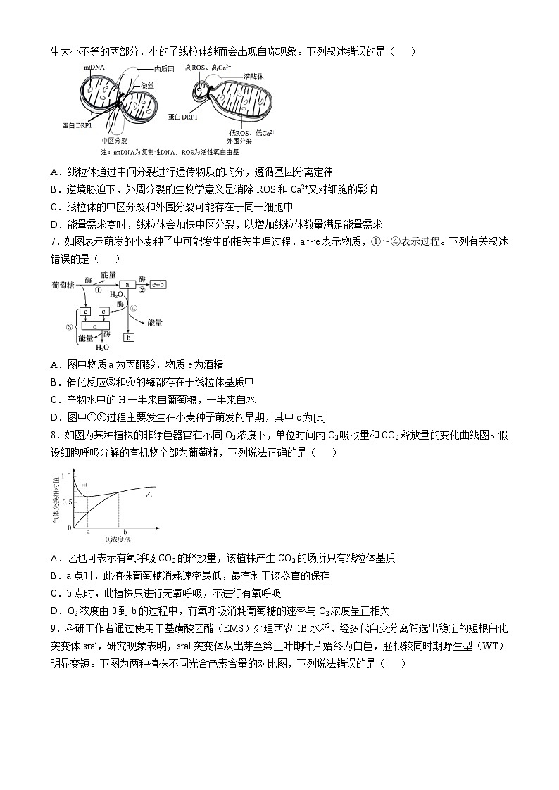2025合肥一中高三上学期11月教学质量检测试题生物含答案第2页