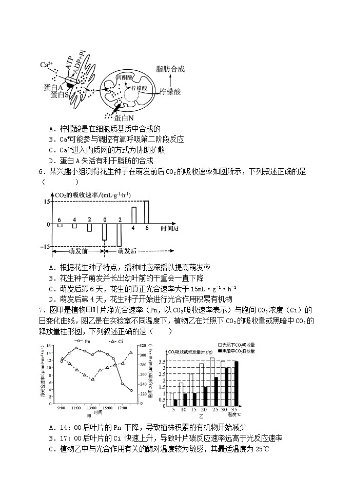 2025省牡丹江省级示范高中高三上学期期中考试生物含答案02