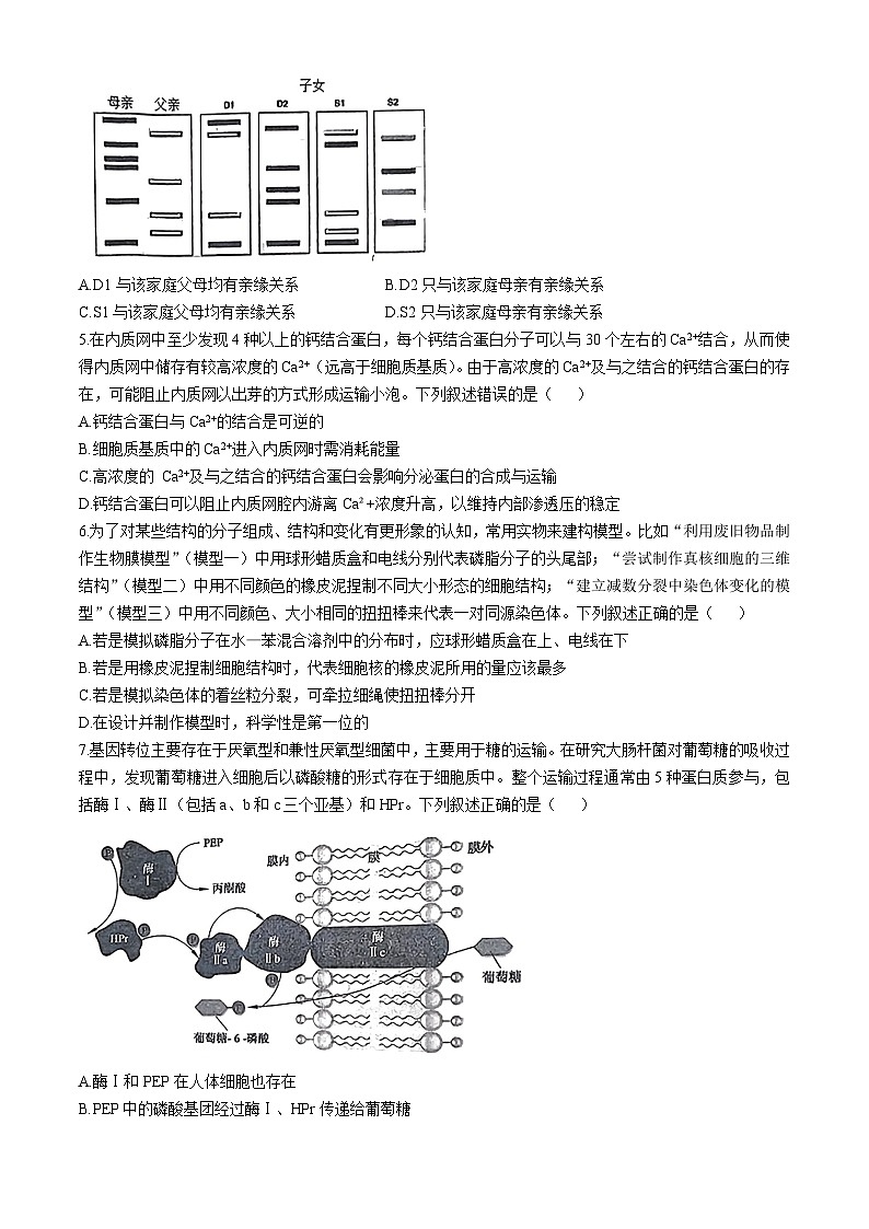 2025湖北省鄂东南省级示范高中教育教学改革联盟学校高三上学期期中联考生物试题含答案第2页