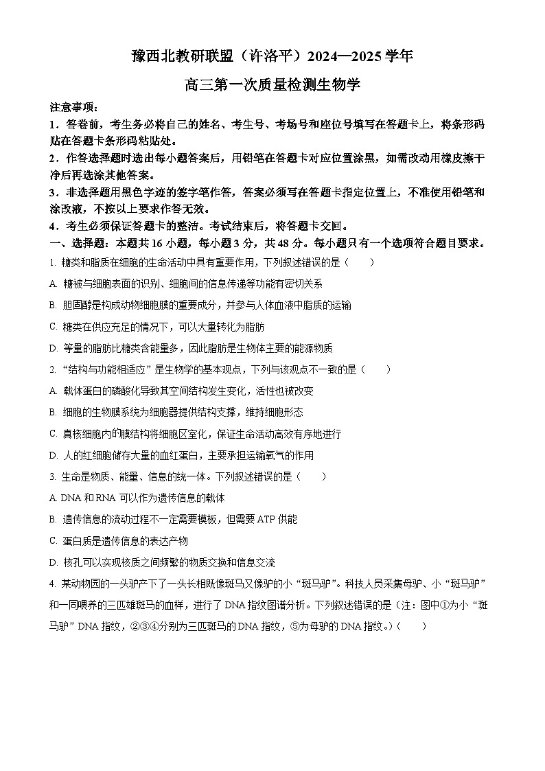 河南省豫西北教研联盟（许洛平）2024-2025学年高三上学期第一次质量检测生物试题无答案第1页
