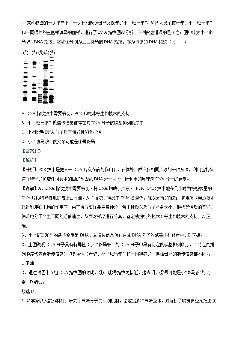 河南省豫西北教研联盟（许洛平）2024-2025学年高三上学期第一次质量检测生物试题含解析第3页