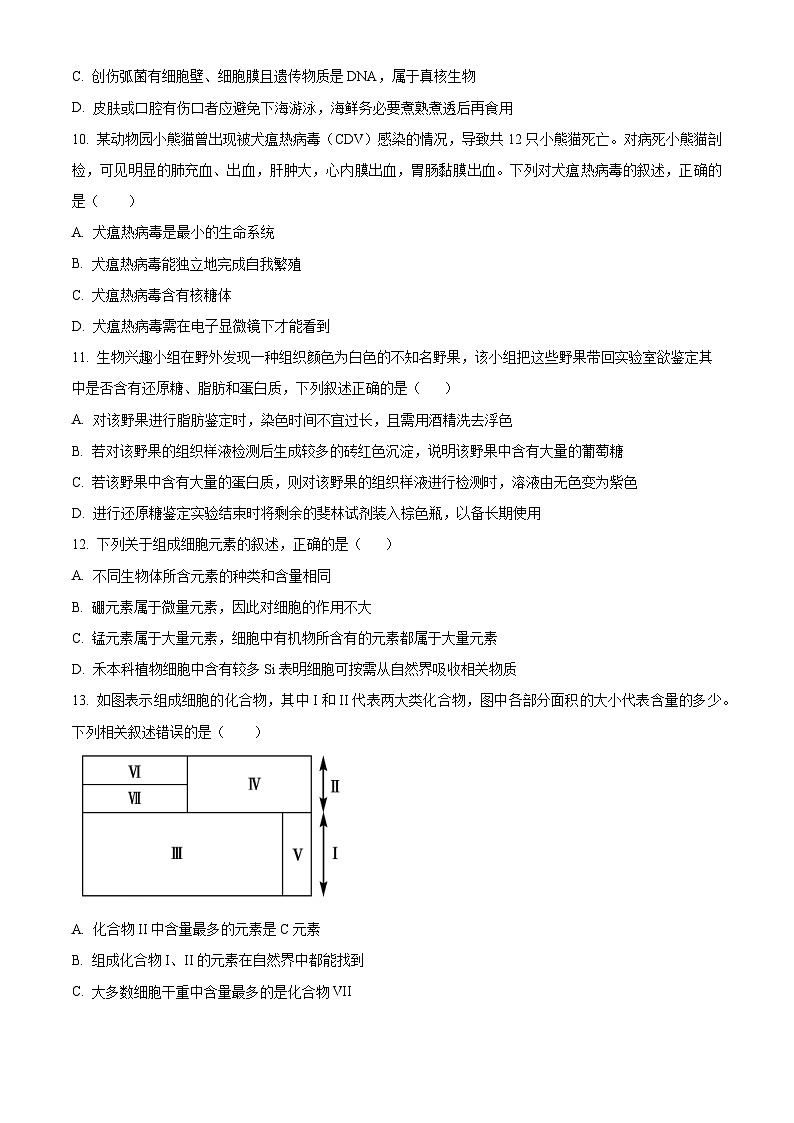 安徽省亳州市涡阳县2024-2025学年高一上学期10月月考生物试题  Word版无答案第3页