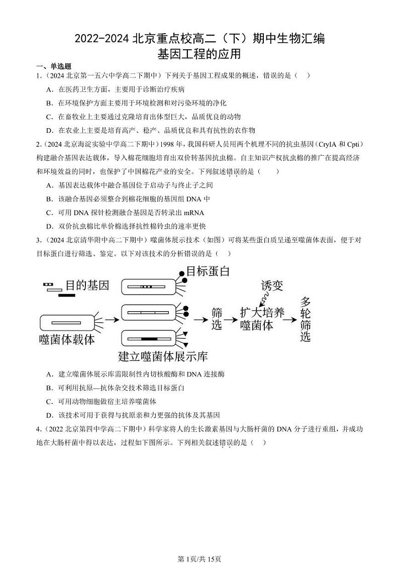 2022-2024北京重点校高二（下）期中真题生物汇编：基因工程的应用第1页