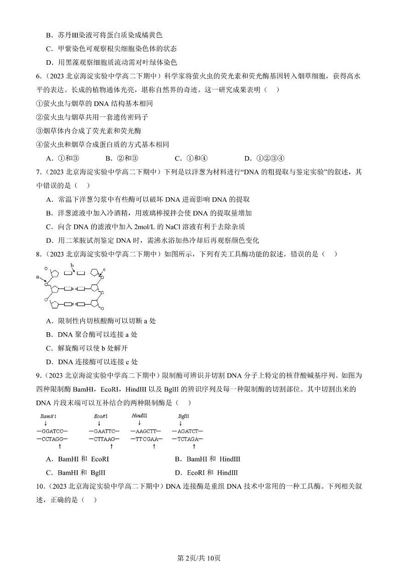 2022-2024北京重点校高二（下）期中真题生物汇编：重组DNA技术的基本工具02