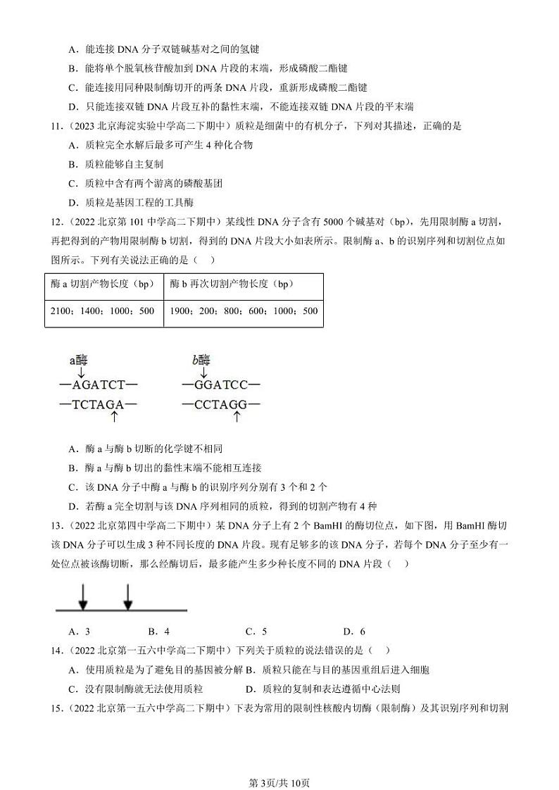 2022-2024北京重点校高二（下）期中真题生物汇编：重组DNA技术的基本工具03