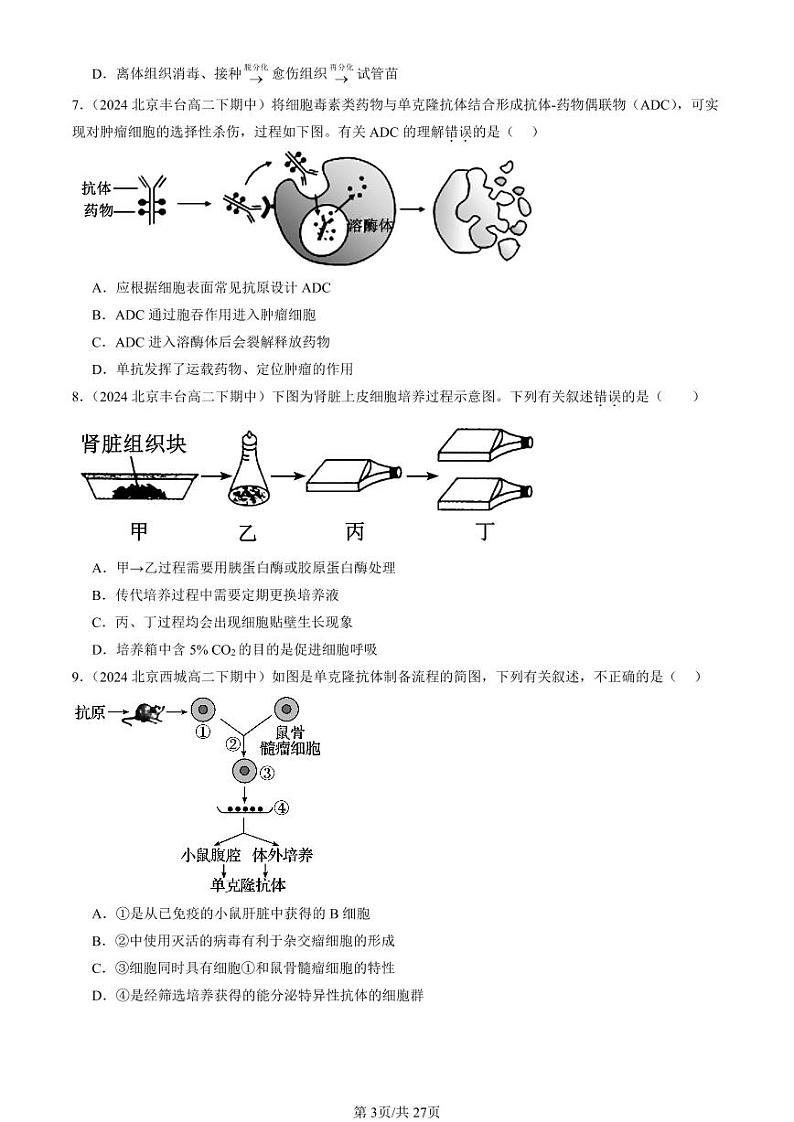 2024北京重点校高二（下）期中真题生物汇编：动物细胞工程第3页