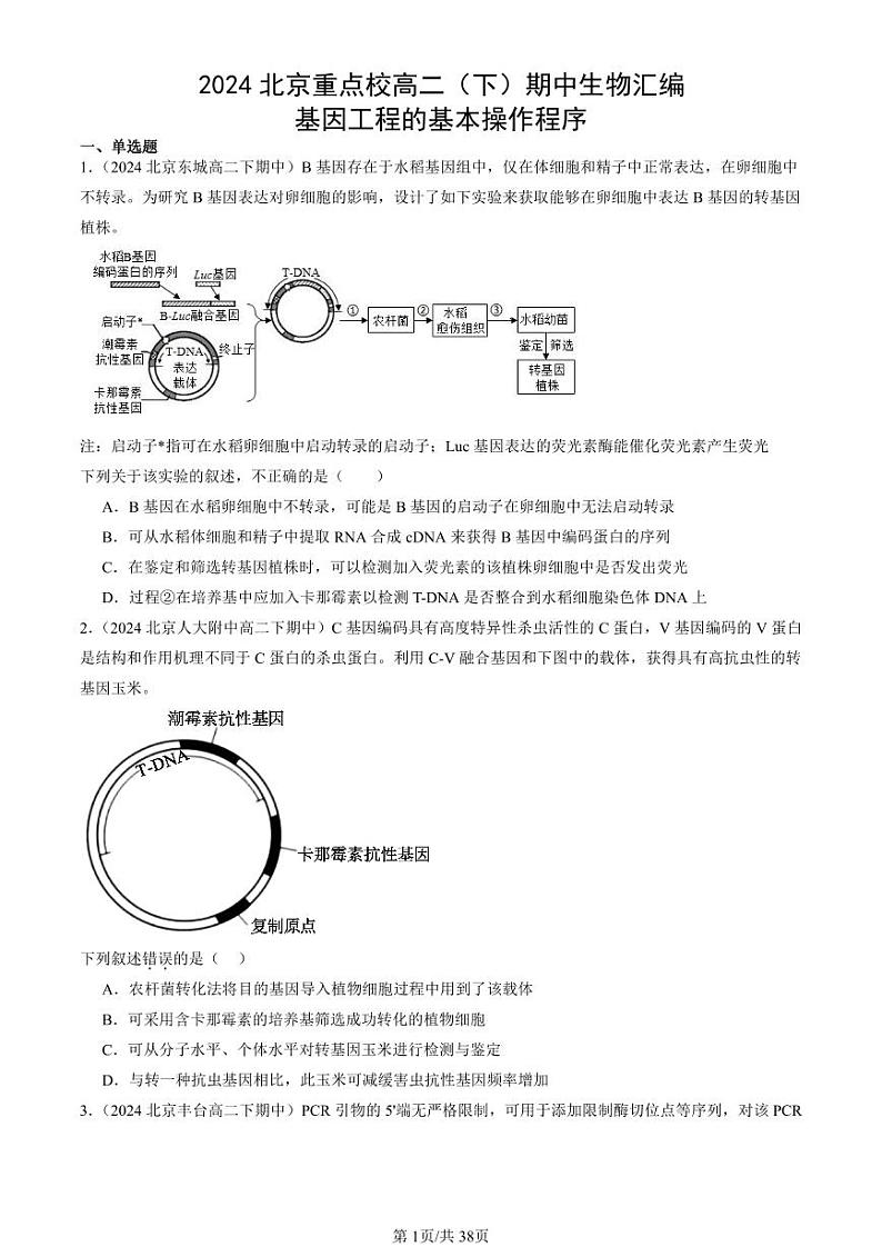2024北京重点校高二（下）期中真题生物汇编：基因工程的基本操作程序第1页