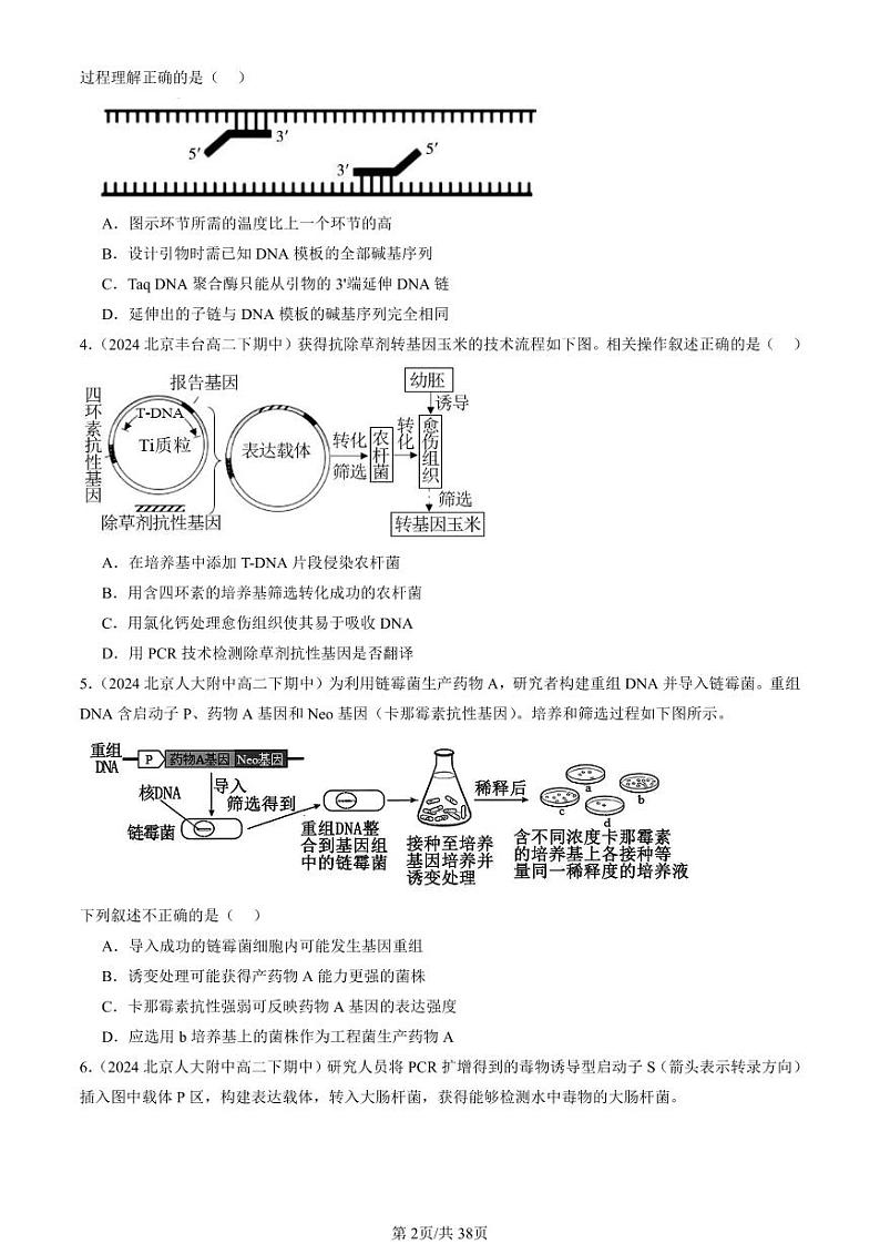 2024北京重点校高二（下）期中真题生物汇编：基因工程的基本操作程序第2页