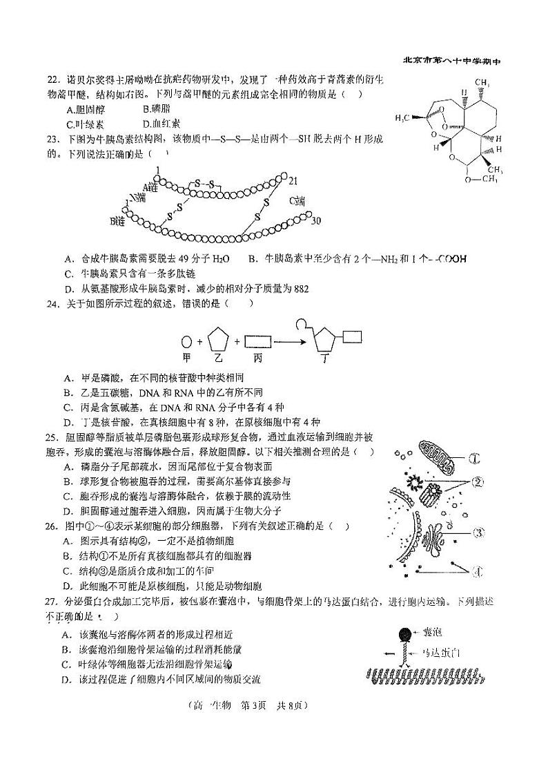 2024北京八十中高一（上）期中真题生物试卷第3页