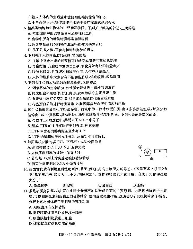 安徽省蚌埠市固镇县毛钽厂实验中学2024-2025学年高一上学期10月月考试生物学试题第2页