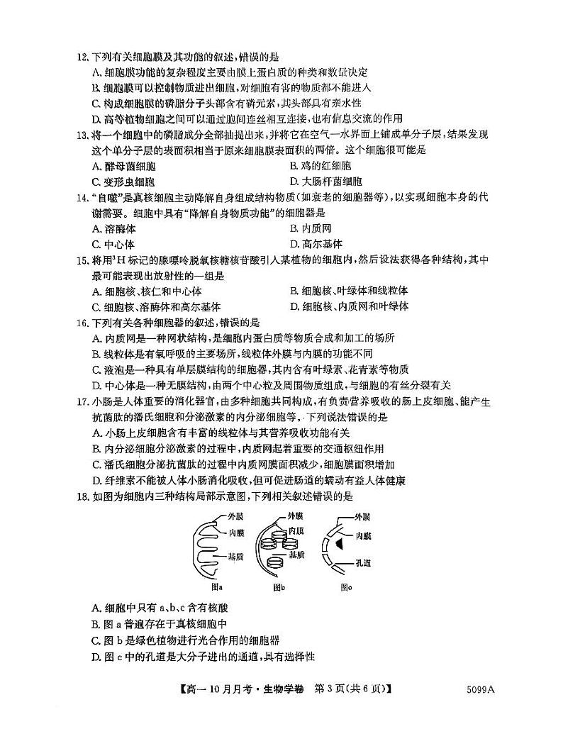 安徽省蚌埠市固镇县毛钽厂实验中学2024-2025学年高一上学期10月月考试生物学试题第3页