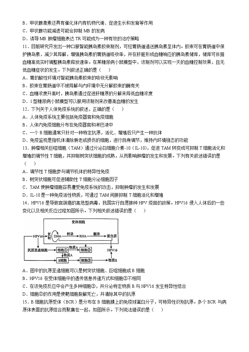 江苏省苏州市2024-2025学年高二上学期11月期中生物试题(无答案)第3页