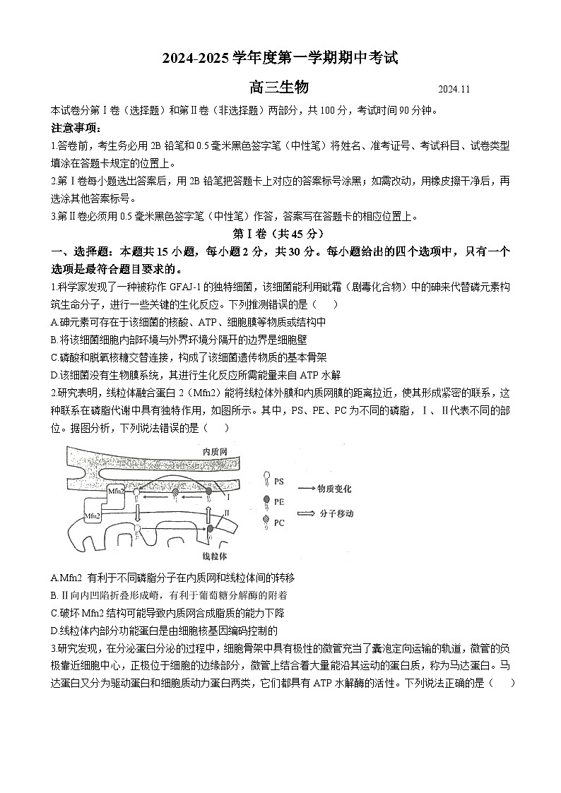 山东省青岛市黄岛区2024-2025学年高三上学期11月期中生物试题(无答案)第1页