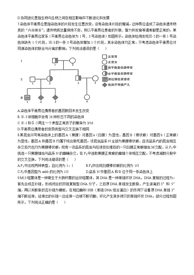山东省青岛市黄岛区2024-2025学年高三上学期11月期中生物试题(无答案)第3页