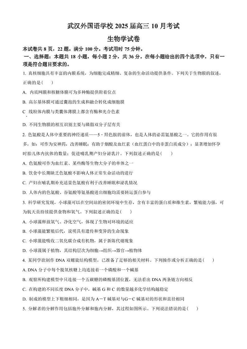 生物丨湖北省武汉外国语学校2025届高三上学期11月阶段性诊断考试生物试卷及答案第1页