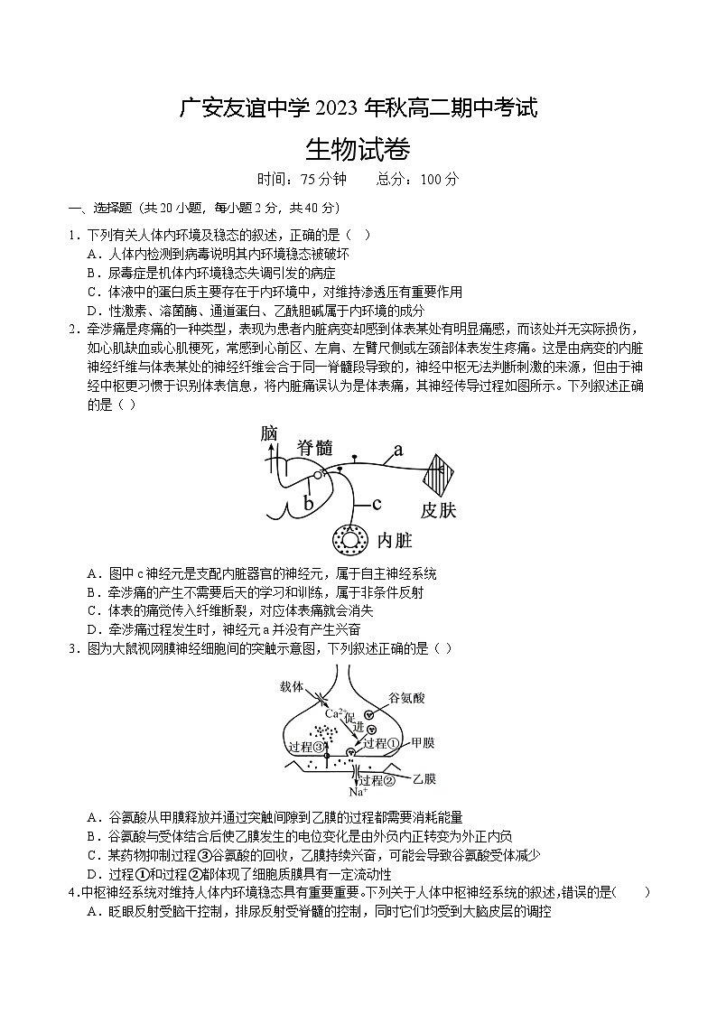 四川省广安友谊中学2023-2024学年高二上学期期中考试生物试题01