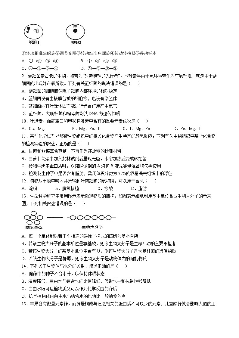 天津市滨海新区大港第一中学2024-2025学年高一上学期10月期中生物试题02