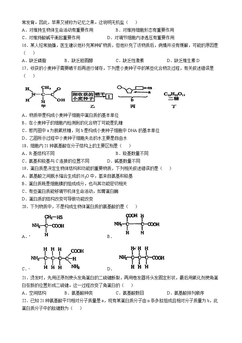 天津市滨海新区大港第一中学2024-2025学年高一上学期10月期中生物试题03