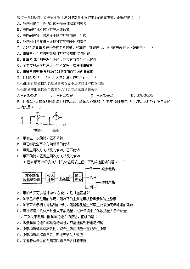 天津市滨海新区大港第一中学2024-2025学年高二上学期10月期中生物试题第2页