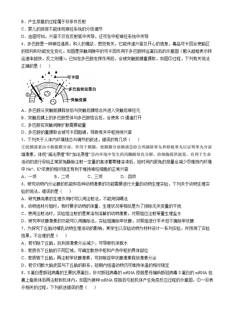 河北省保定市六校联盟2024-2025学年高二上学期11月期中生物试题(无答案)第2页