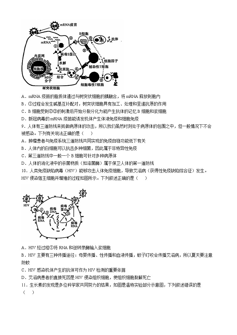 河北省保定市六校联盟2024-2025学年高二上学期11月期中生物试题(无答案)第3页