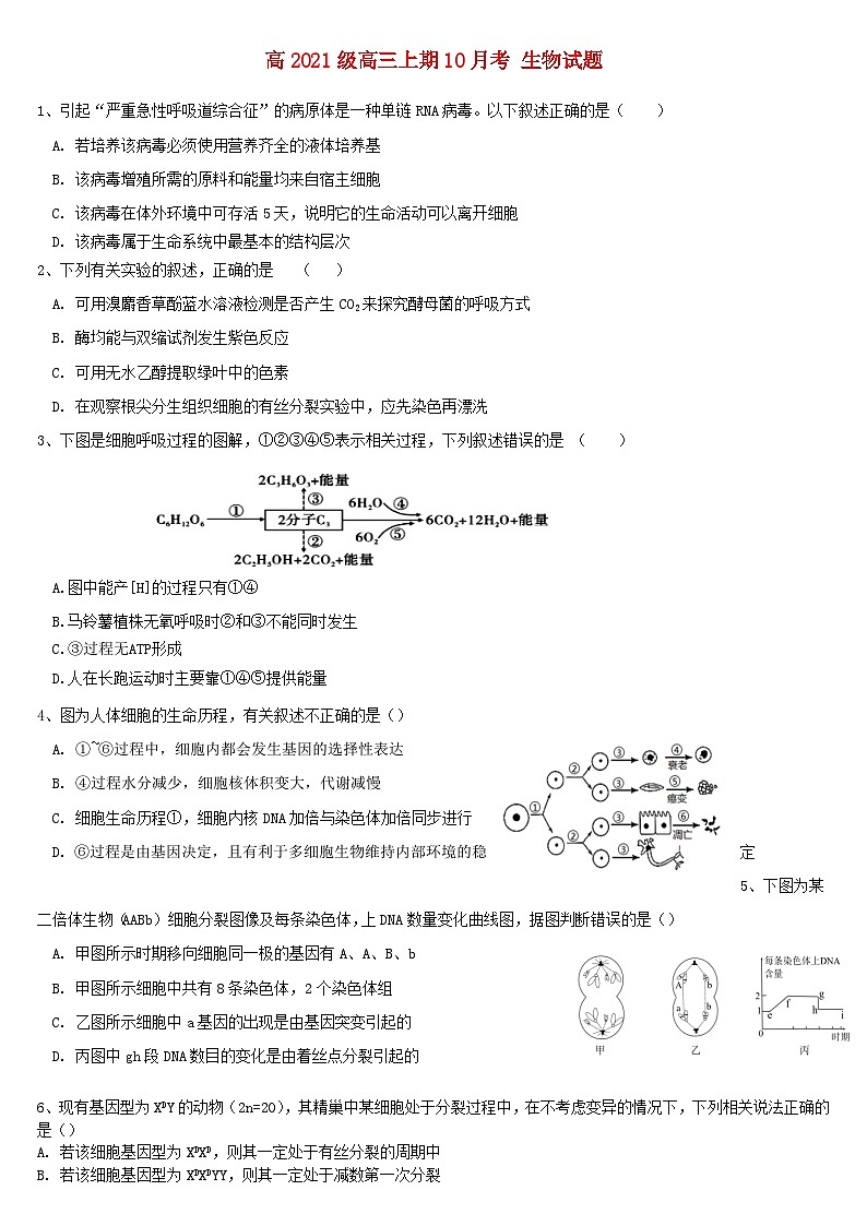 四川省2024届高三生物上学期10月月考试题第1页