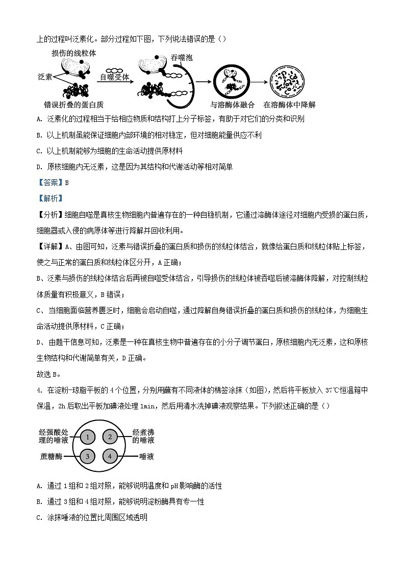 浙江省杭州市2023_2024学年高三生物上学期12月考试试题含解析02