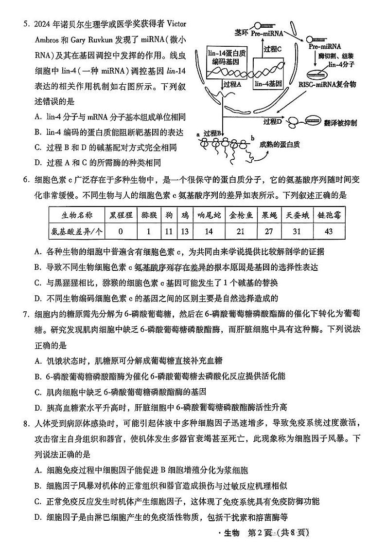 河北省2024-2025学年高三上学期11月阶段调研检测二生物第2页