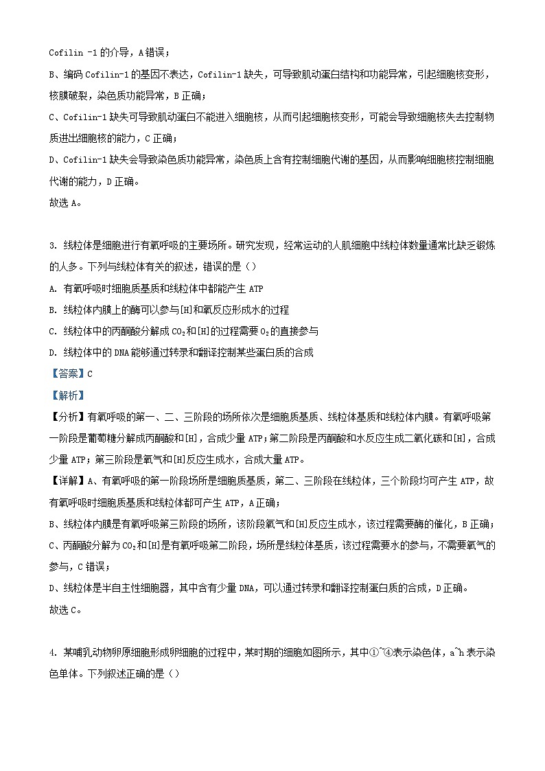 湖北省襄阳市宜城市2023_2024学年高二生物上学期9月月考试题含解析第2页