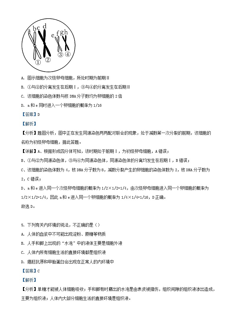 湖北省襄阳市宜城市2023_2024学年高二生物上学期9月月考试题含解析第3页