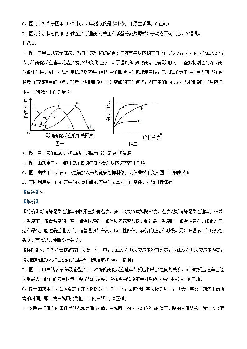湖北省宜昌市长阳土家族自治县2023_2024学年高二生物上学期9月月考试题含解析第3页