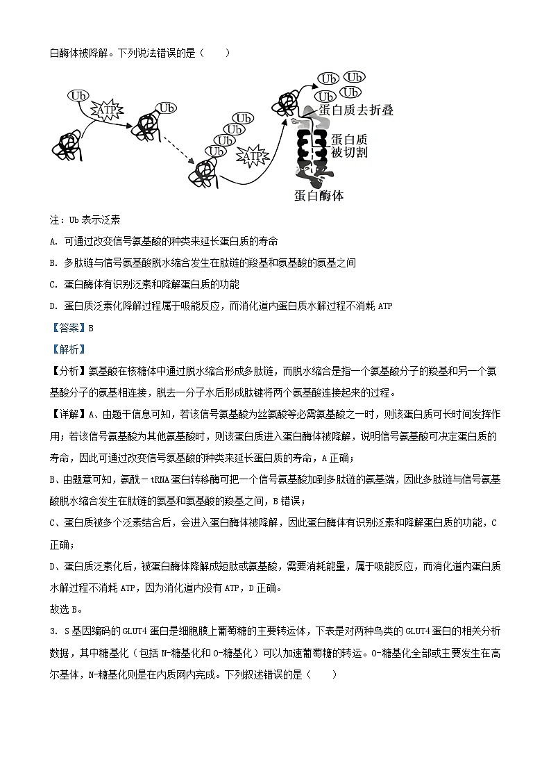 湖南省2023_2024学年高三生物上学期月考二试题含解析第2页