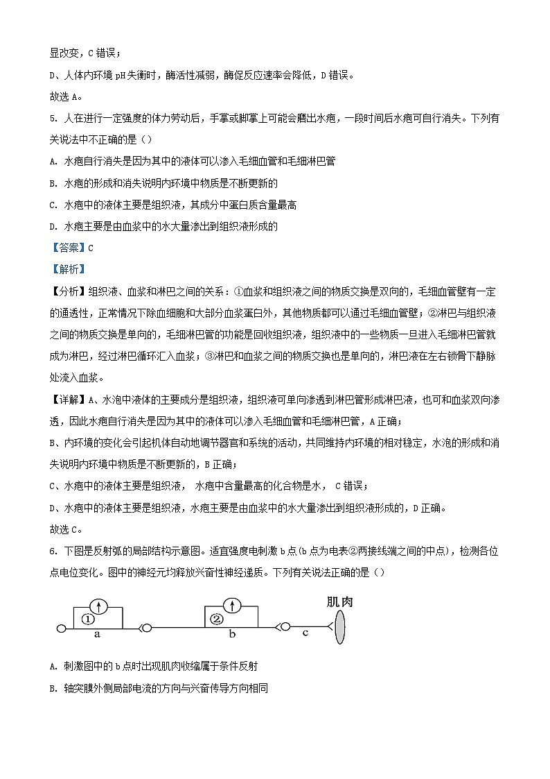 湖南省邵阳市洞口县2023_2024学年高二生物上学期第一次月考试题含解析03