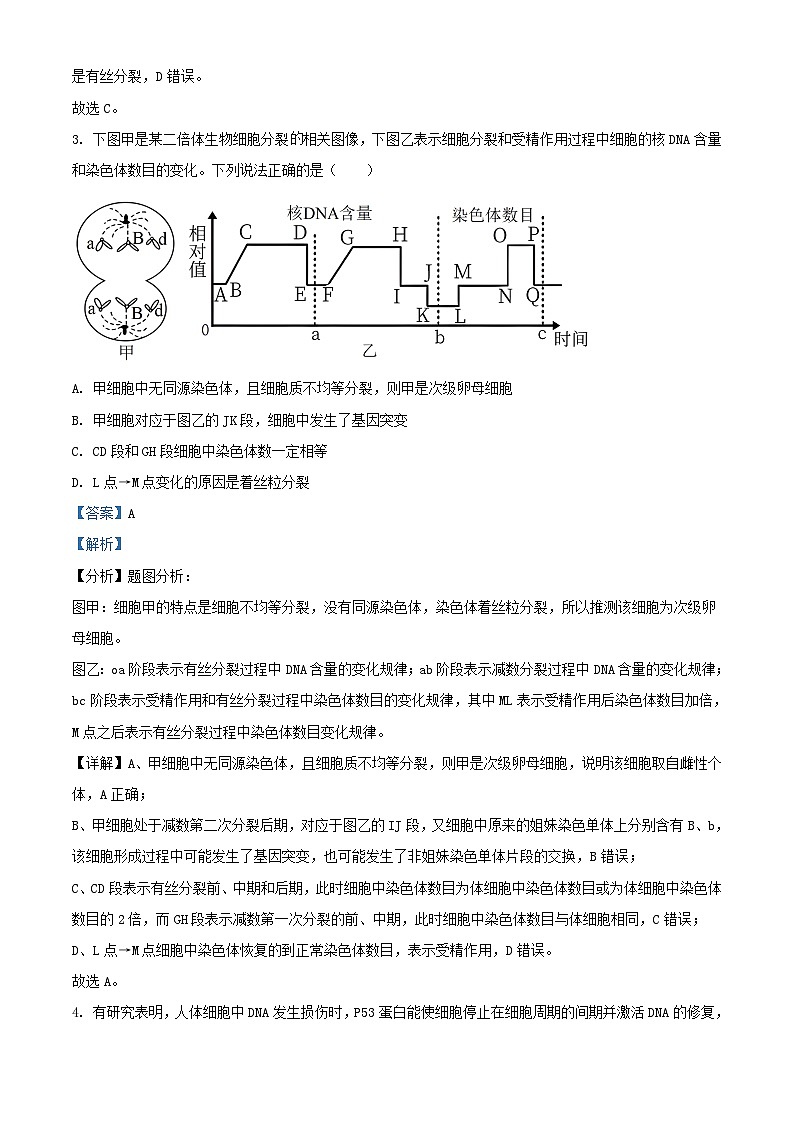 四川省成都市2023_2024学年高二生物上学期开学考试试题含解析第3页
