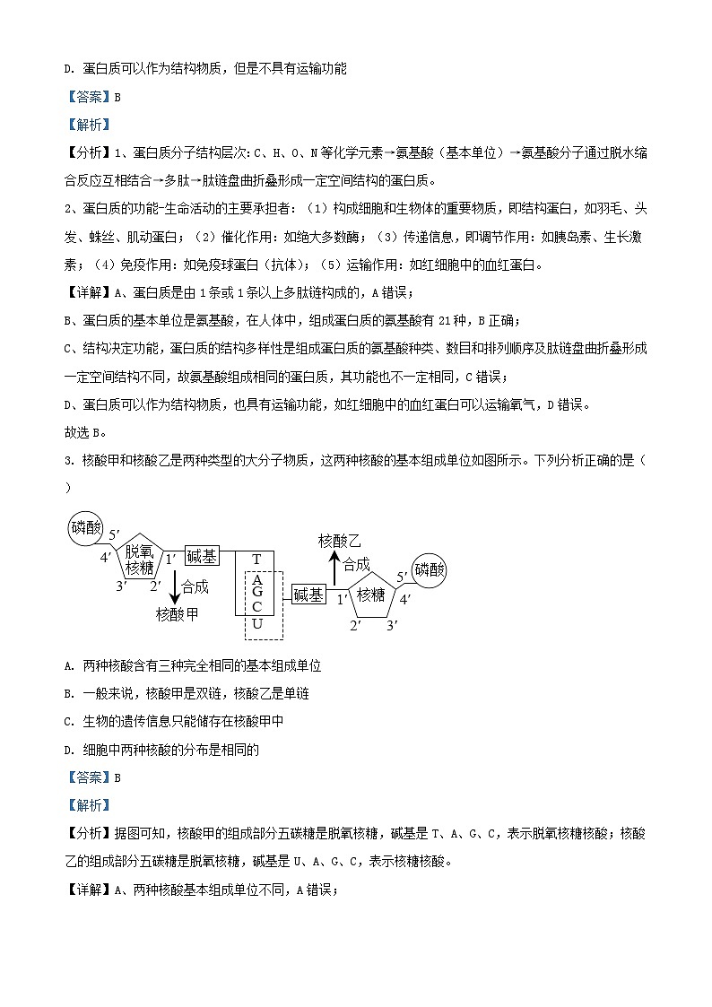 四川省雅安市2023_2024学年高一生物上学期1月月考试题含解析第2页