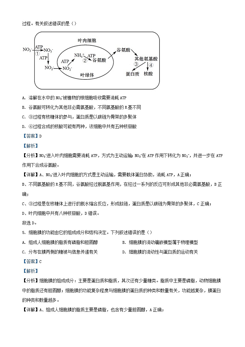 四川省雅安市2023_2024学年高一生物上学期12月月考试题含解析第3页