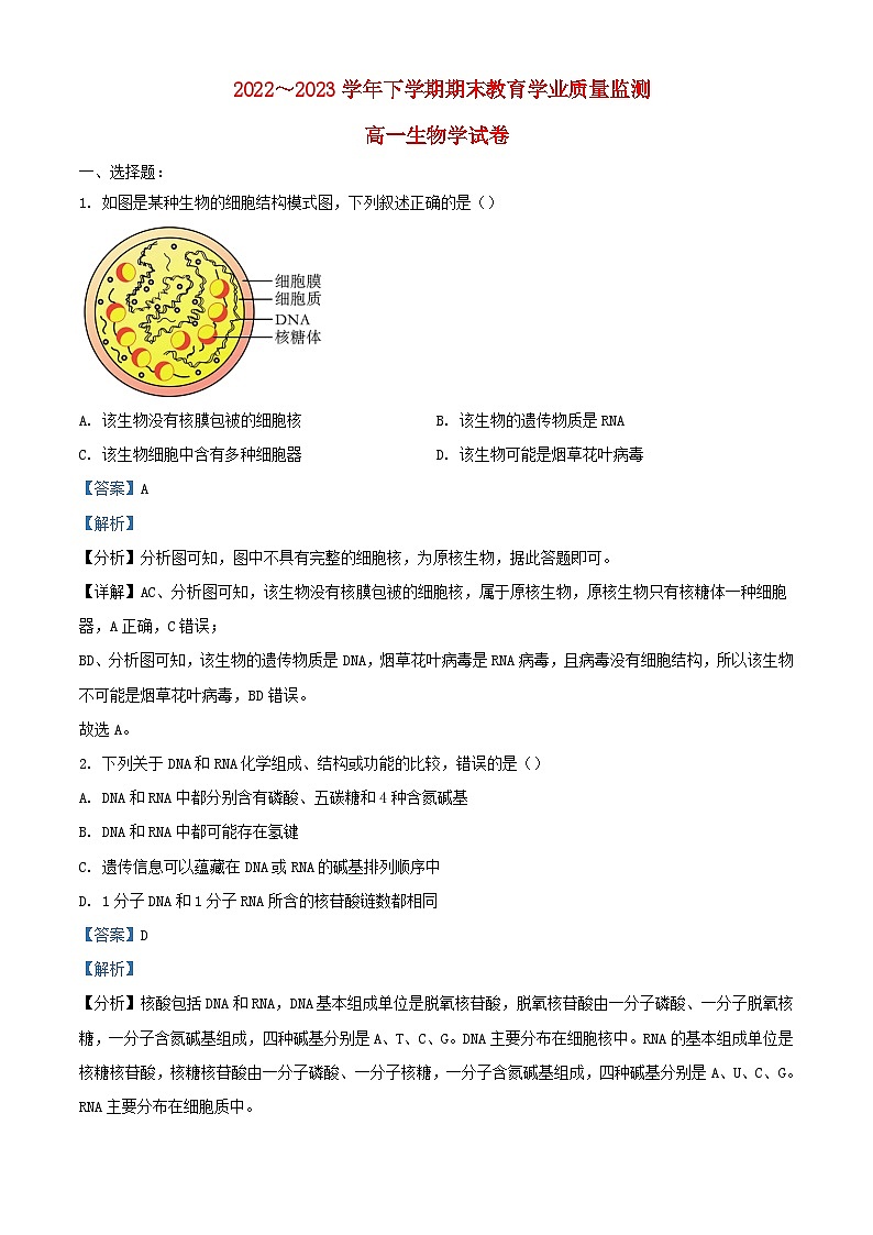 云南省楚雄州2022_2023学年高一生物下学期期末试题含解析第1页