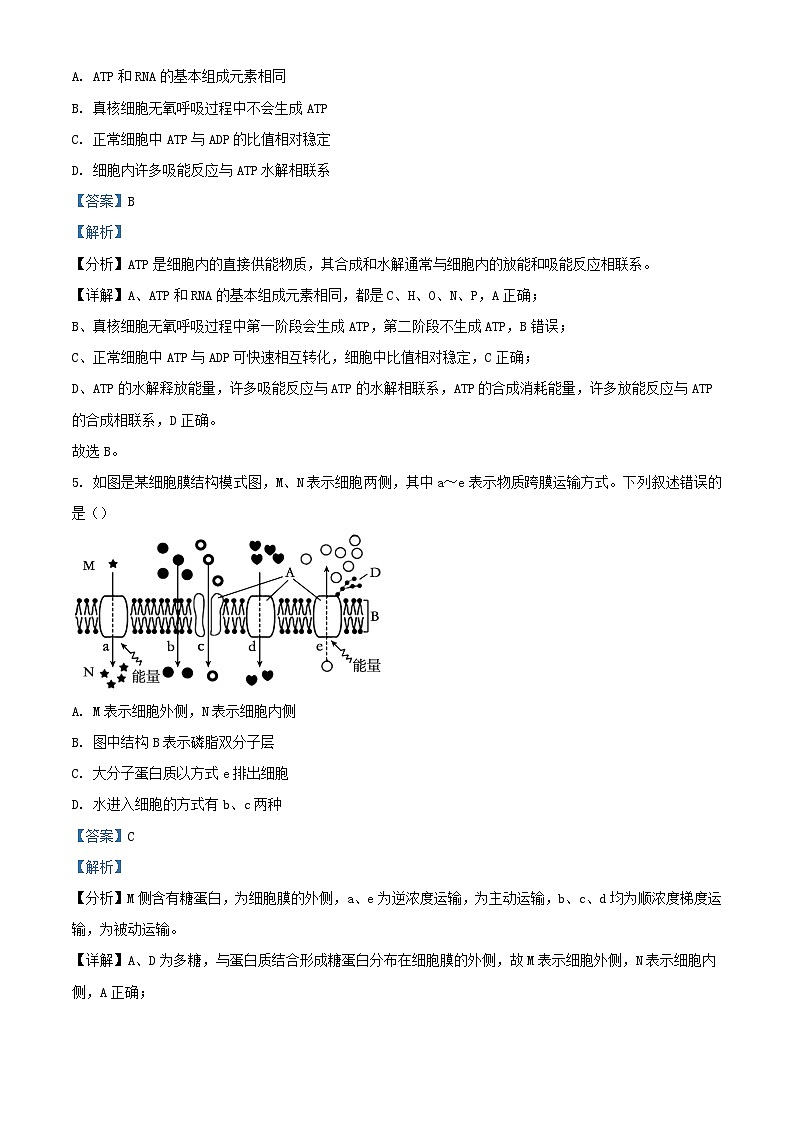 云南省楚雄州2022_2023学年高一生物下学期期末试题含解析第3页