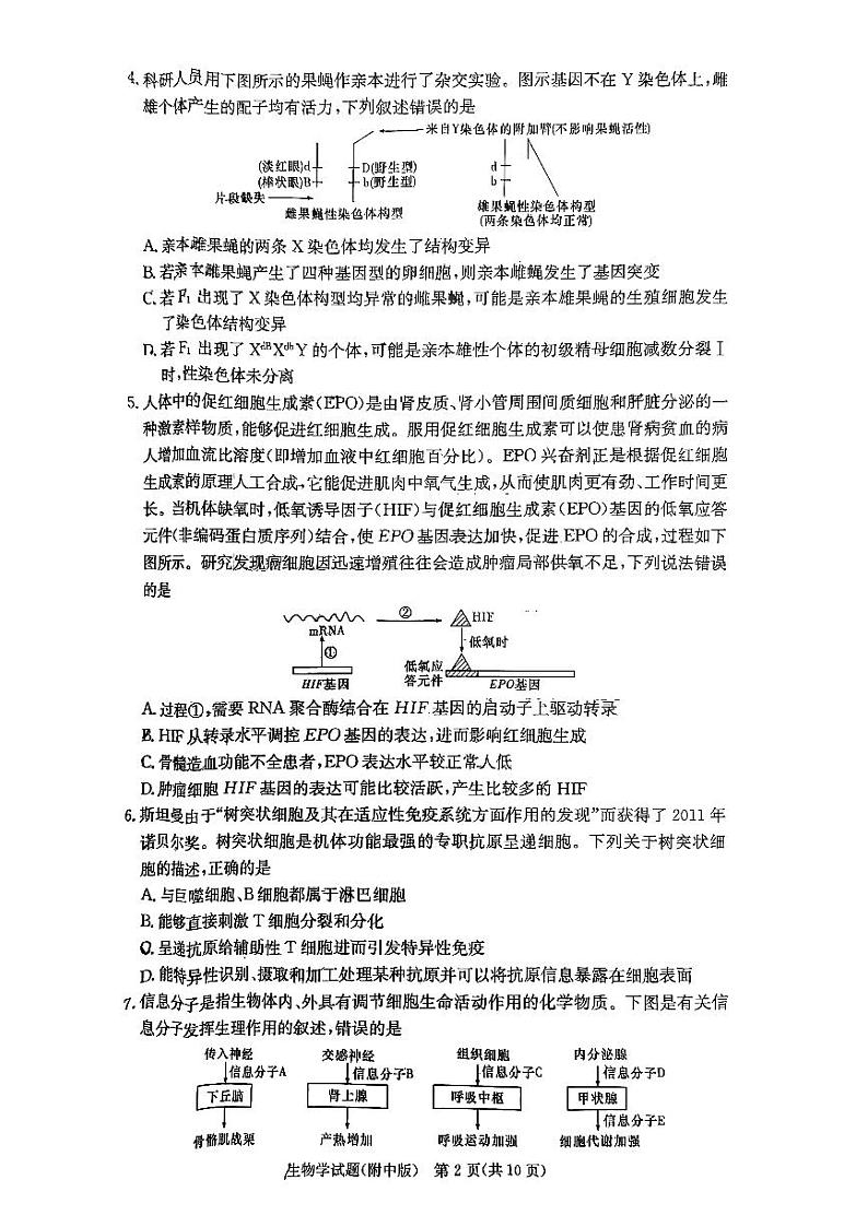 湖南省2023_2024学年高三生物上学期月考卷一pdf无答案02