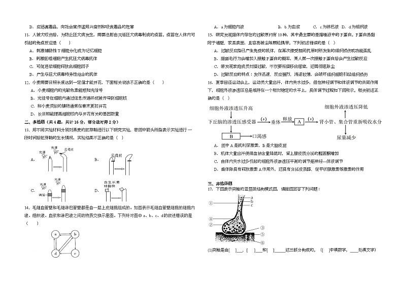 湖南省衡阳县四中2024-2025学年上学期高二期中考试生物试题第2页