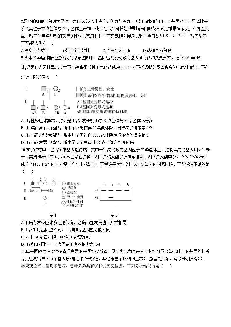山东省济南市市中区山东省实验中学2024-2025学年高三上学期11月期中生物试题03