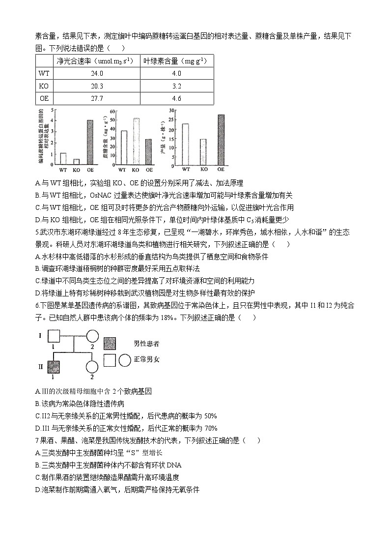 湖北省武汉市东西湖区华中师范大学第一附属中学2024-2025学年高三上学期11月期中生物试题(无答案)第2页