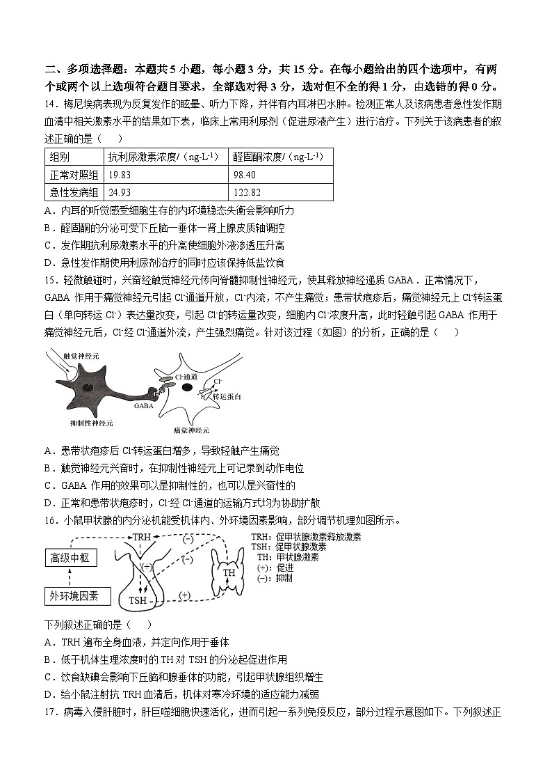 河北省石家庄市第三十八中学2024-2025学年高二上学期10月月考生物试题第3页