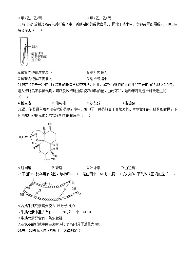 北京市第八十中学2024-2025学年高一上学期期中考试生物试题(无答案)第3页