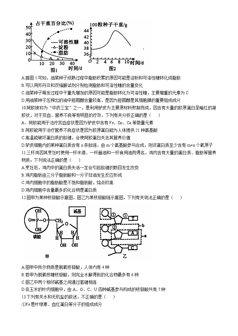 湖北省十堰市六县市区一中教联体2024-2025学年高一上学期11月联考生物试卷（Word版附答案）03
