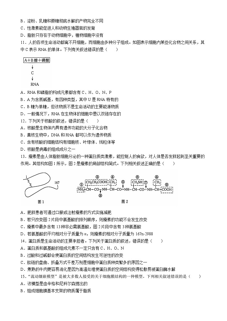 陕西省榆林市八校2024-2025学年高一上学期11月期中联考生物试卷（Word版附答案）第3页