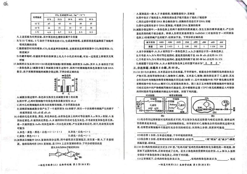 百师联盟2025届高三上学期一轮复习联考（二）生物试卷（PDF版附答案）第3页