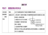 高考生物二轮复习讲解课件：专题3  细胞的物质输入和输出