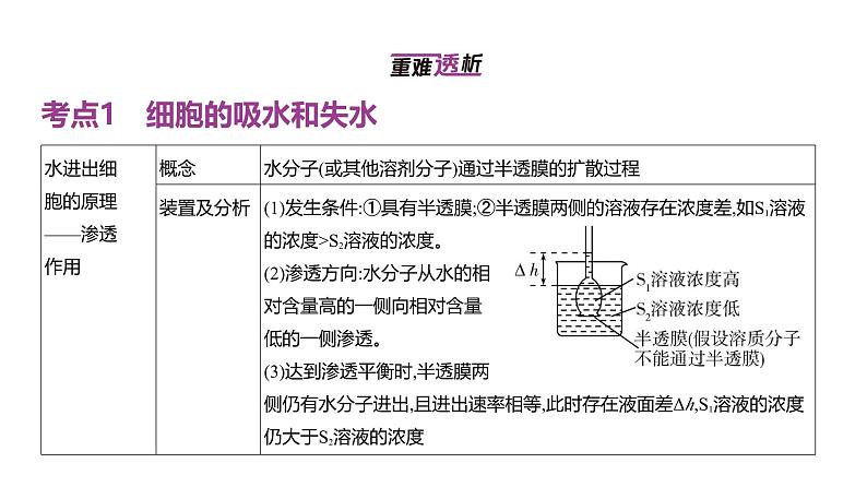 高考生物二轮复习讲解课件：专题3  细胞的物质输入和输出第2页