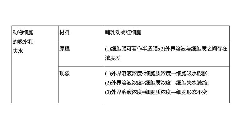 高考生物二轮复习讲解课件：专题3  细胞的物质输入和输出第3页